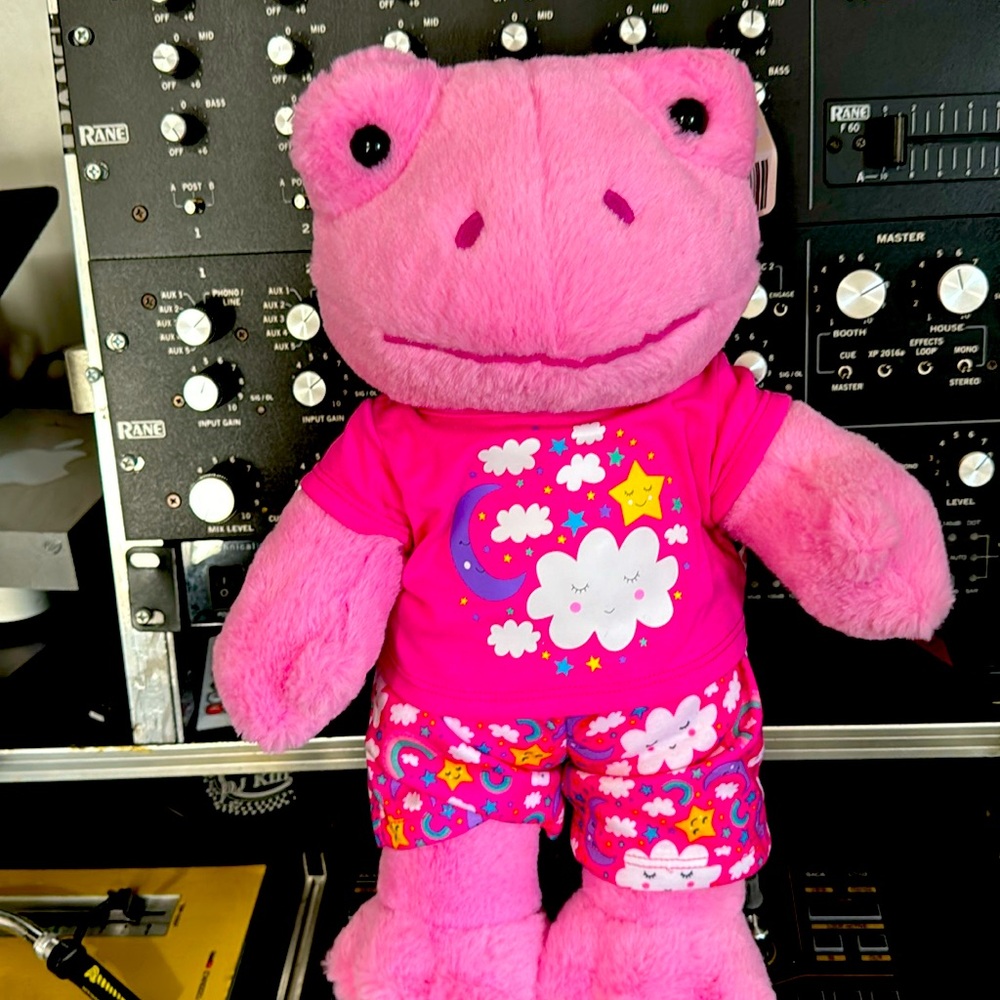 Build A Bear Pink Spring Frog with Sleeper New with tag